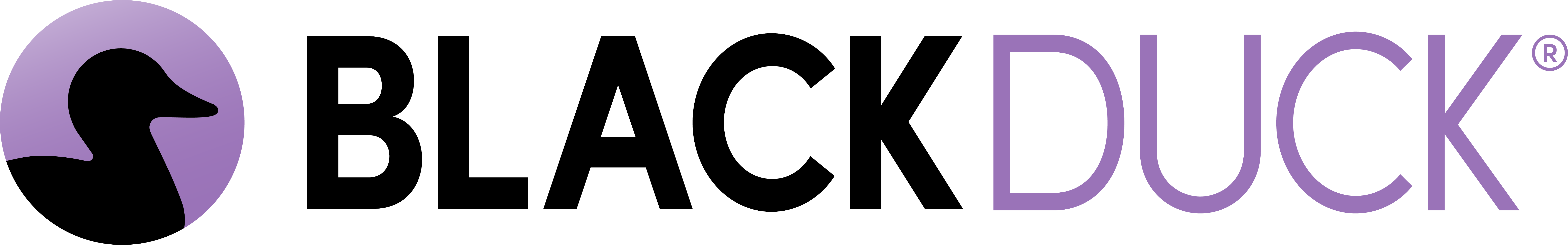 Black Duck Software - Application Security Platform